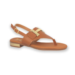 2432 NUTE/C DOYA ROBLE